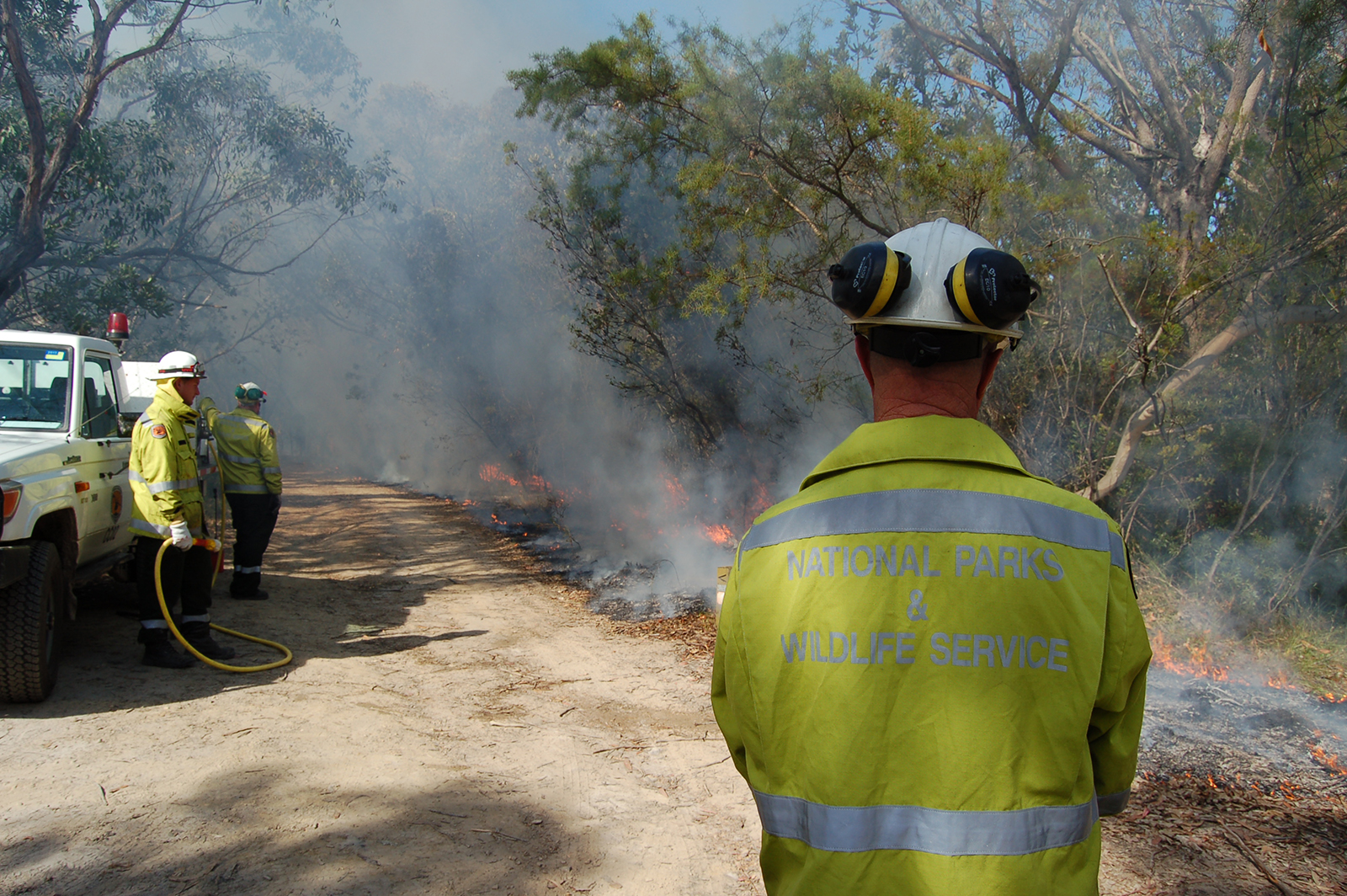 NPWS firefighters conducting planned controlled burning in Brisbane Water National Park. Photo: Susan Davis/DPIE