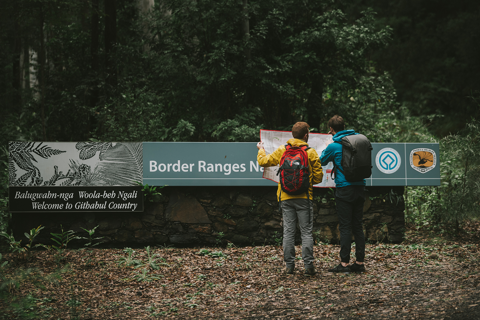 Two males looking at a typographic map infront of the Border Ranges National park sign in Border Rangers National Park. Photo: Branden Bodman/DPIE