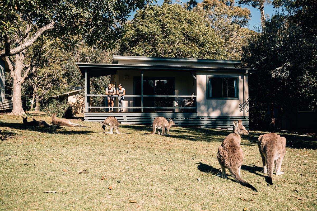 A couple looking at the kangaroos from the Depot Beach cabins, Murramarang National Park. Photo: Melissa Findley/DPIE