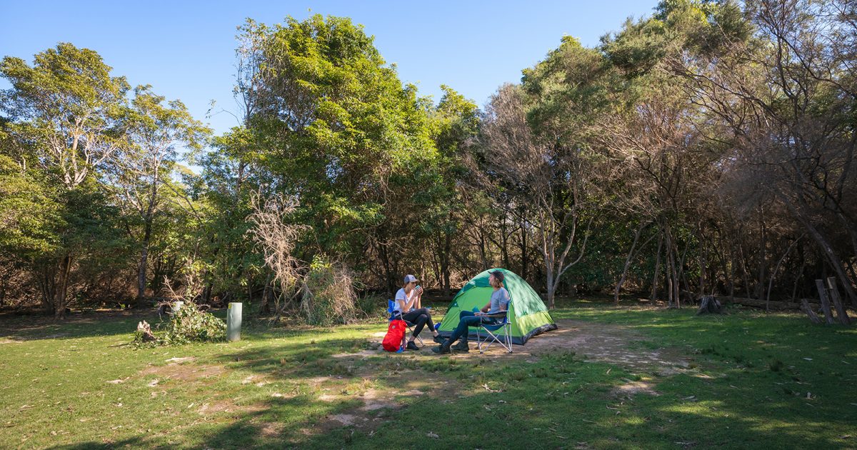 A couple sitting in camp chairs in front of their tent in Hobart Beach campground, Bournda National Park. Photo: Daniel Tran/DPIE