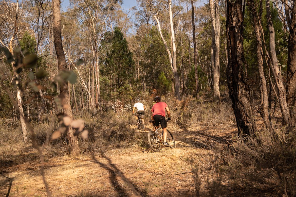 Two people mountain biking on the Livingstone multi-use track, Livingstone National Park. Photo: Rob Mulally/DPIE