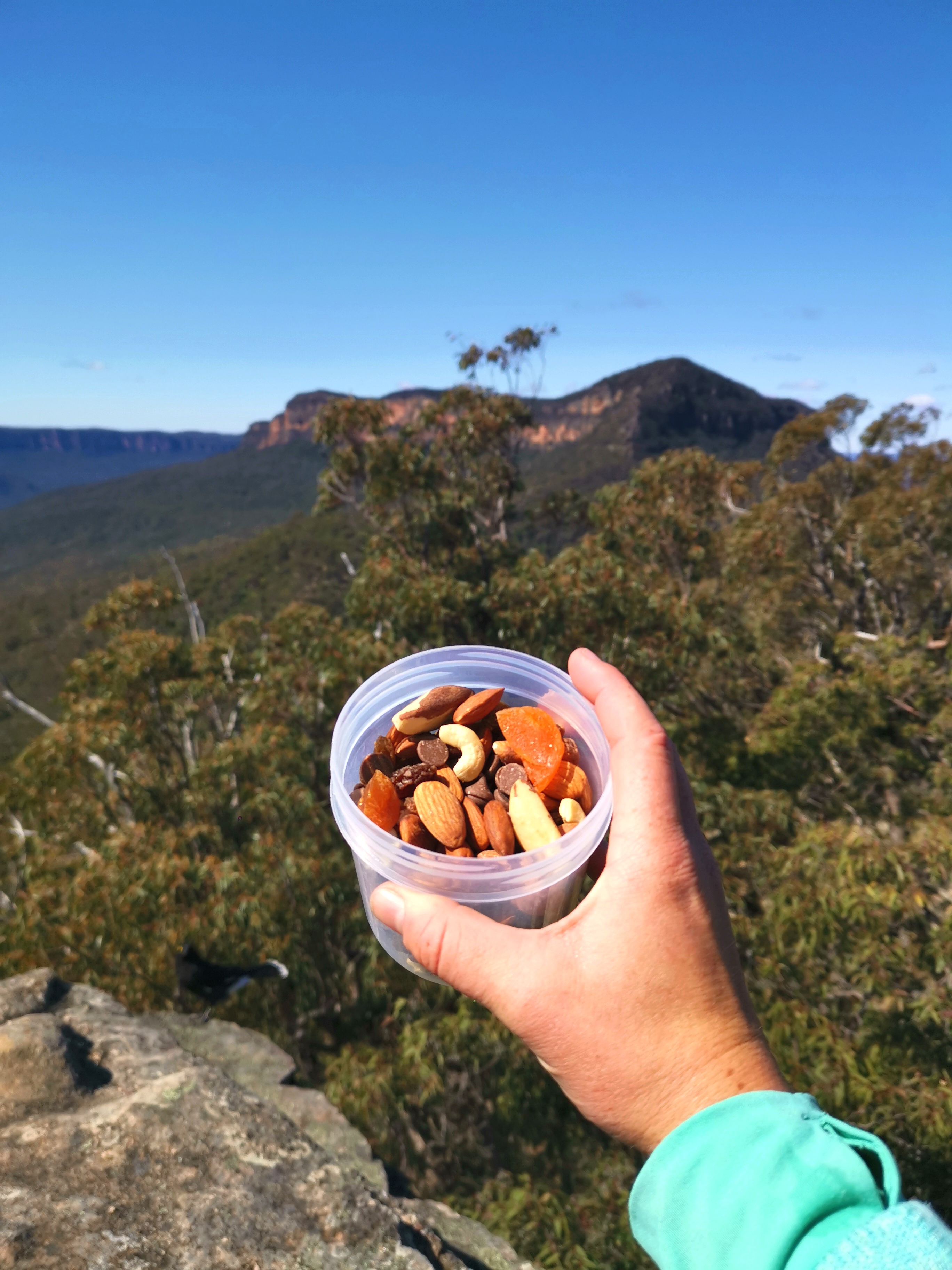 Hand holding an open container of trail mix in Blue Mountains National Park. Photo: Sara Freeland