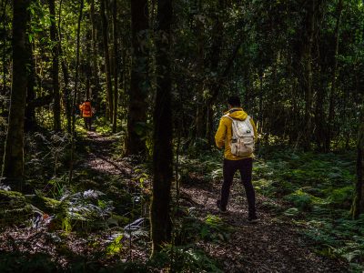 Two people walking in Barrington Tops National Park. Photo: Rob Mulally/DPIE