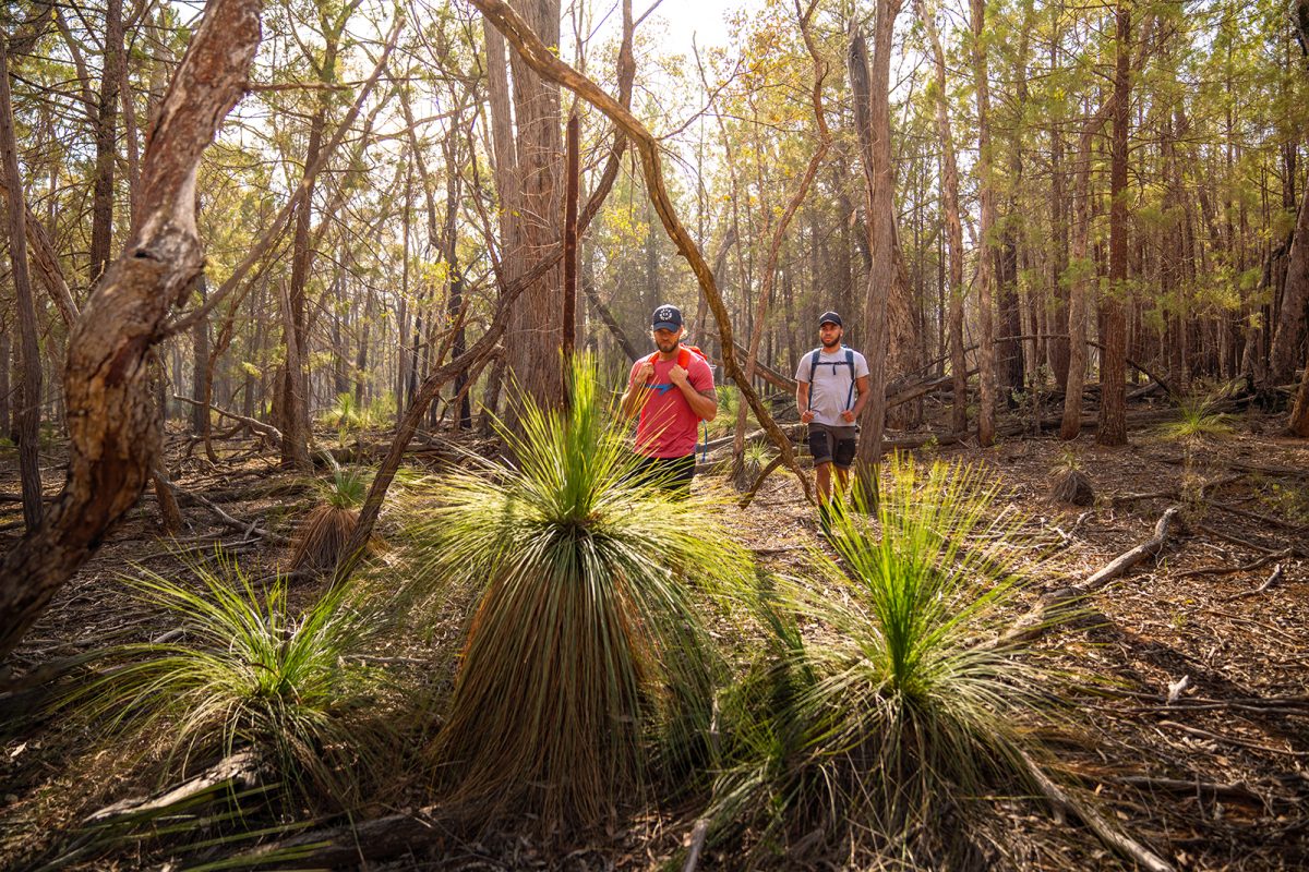 Two men walk through woodland past grass trees on Livingstone multi-use track, Livingstone National Park. Photo: Rob Mulally/DPIE