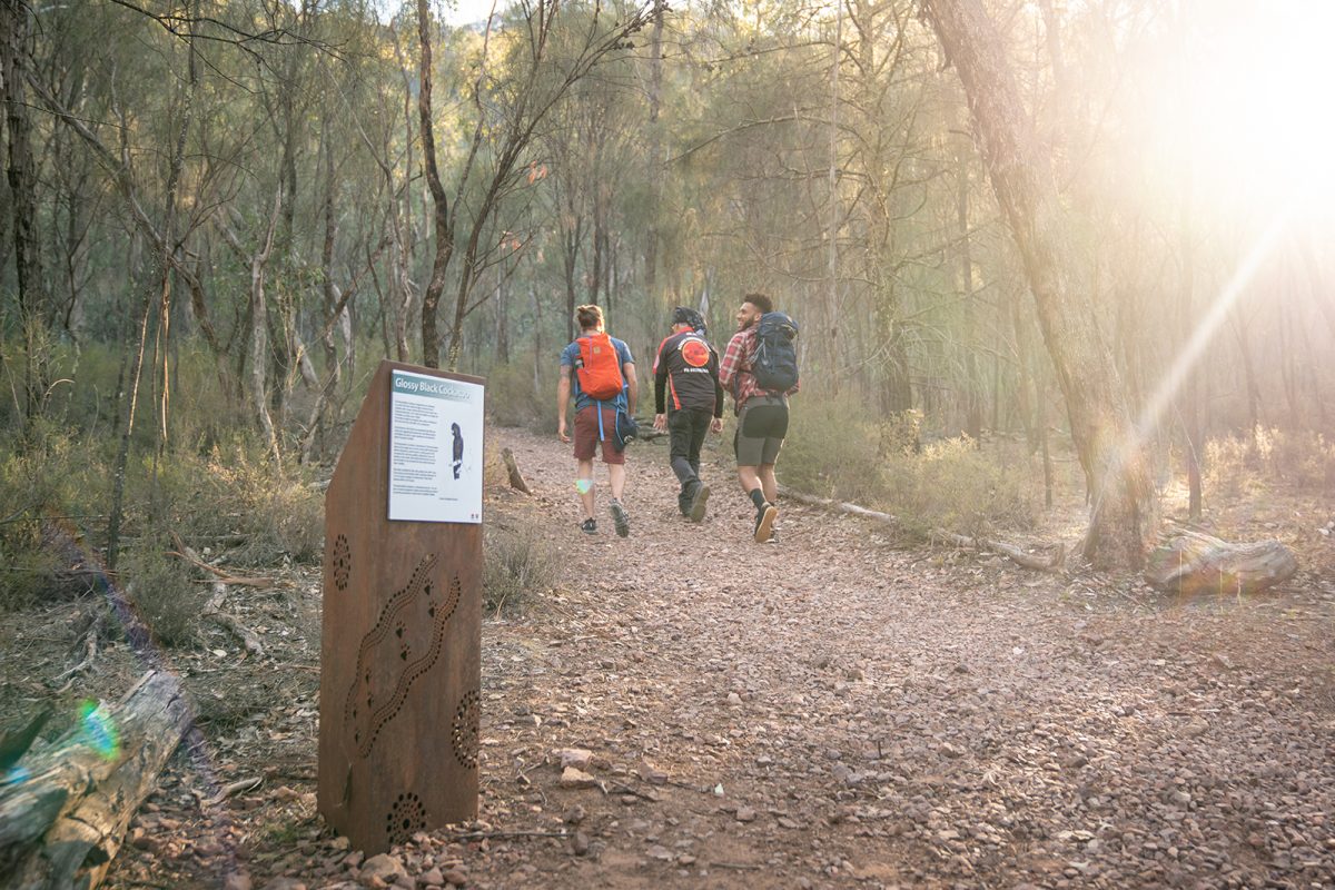 Three people on a hike on the Yerong walking track, The Rock Nature Reserve - Kengal Aboriginal Place. Photo: Rob Mulally/DPIE