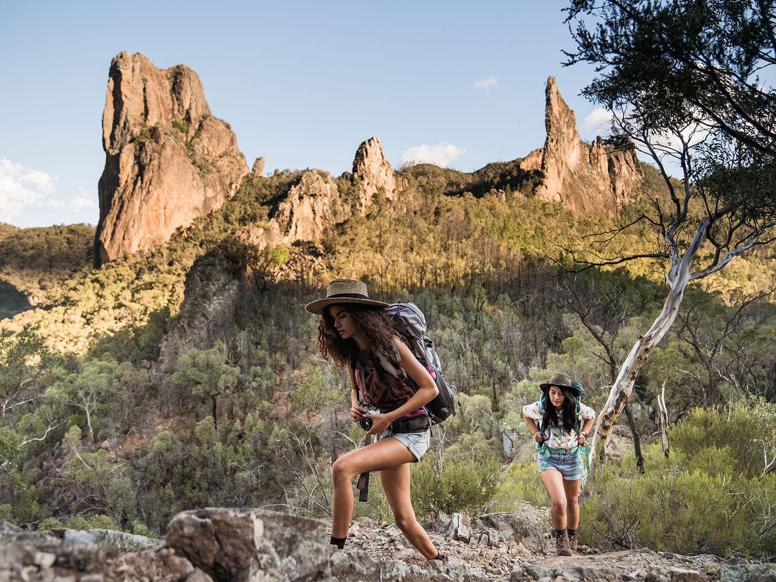 Breadknife and Grand High Tops walk, Warrumbungle National Park. Photo credit: Rob Mulally/DPIE