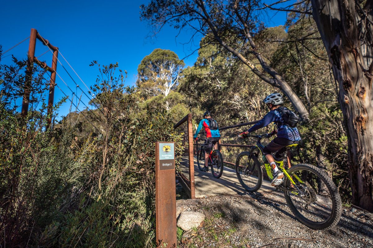 Two people riding on the Thredbo Valley track, Thredbo-Perisher area in Kosciuszko National Park. Photo: Rob Mulally/DPIE
