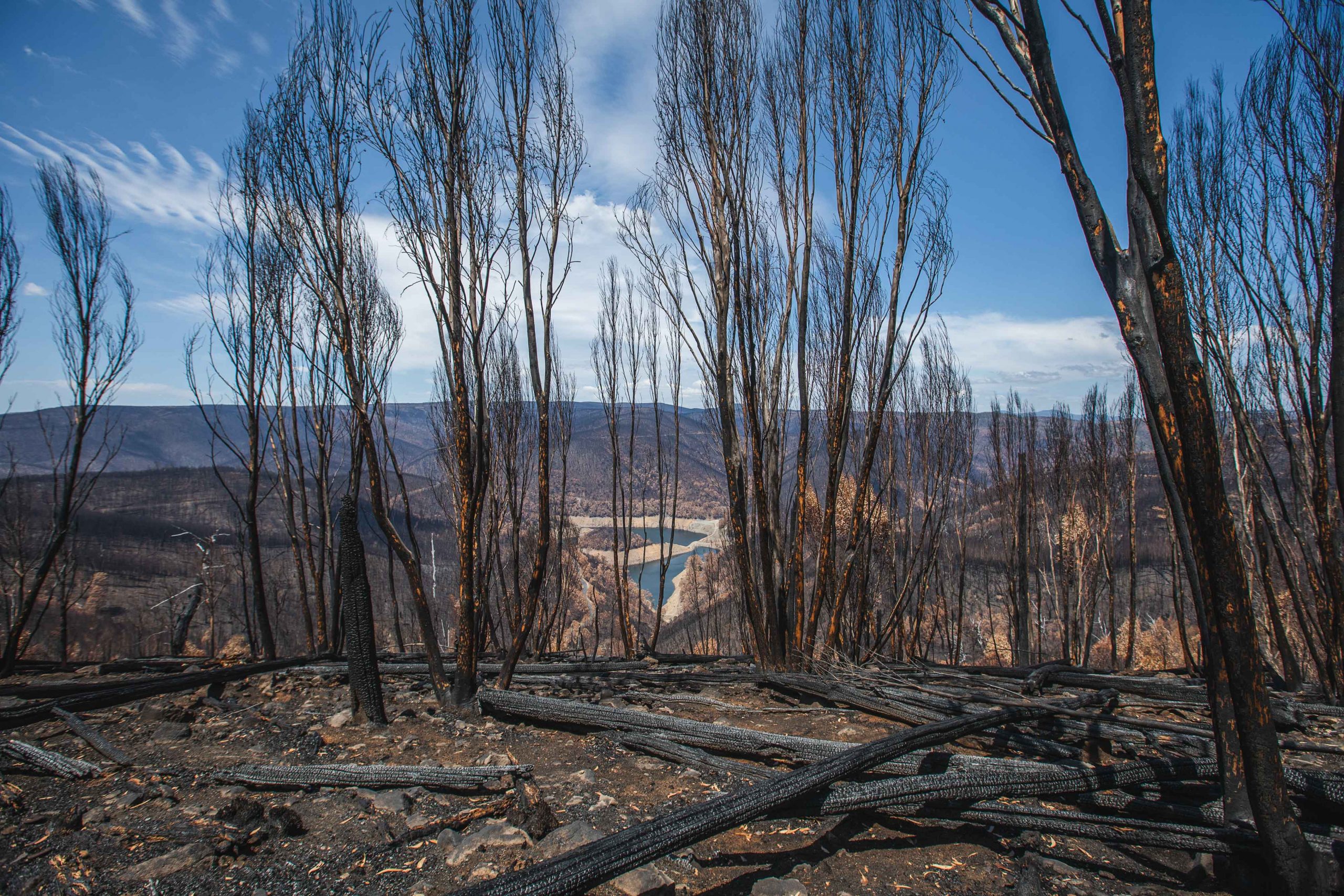 Kosciuszko National Park after the 2019-20 fires. Photo credit: Alex Pike/DPIE