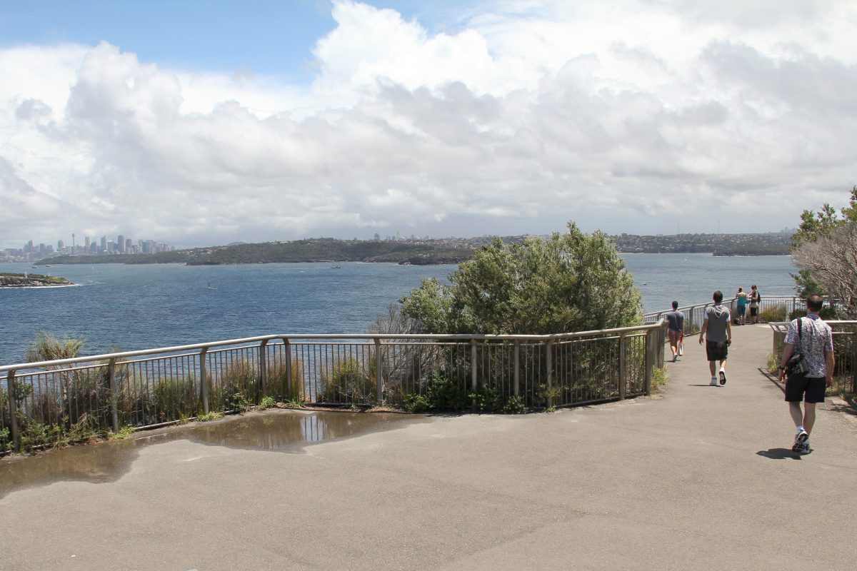Fairfax walk, Sydney Harbour National Park. Lookout view across to South Head. Photo: John Yurasek/DPIE