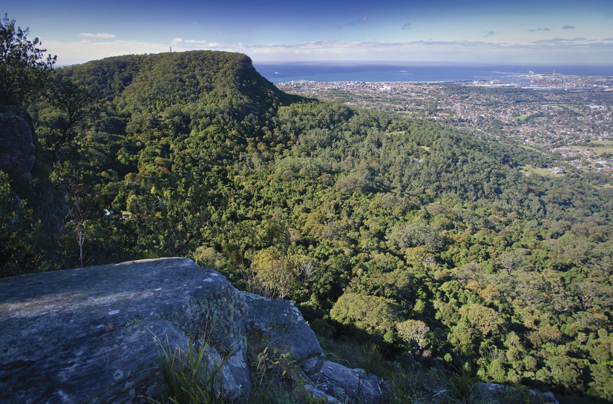 The view from Robertson's lookout in the Illawarra Escarpment State Conservation Area. The view shows Wollongong, Port kembla and the Steelworks, and the Mt Keira Summit. Photo: John Spencer/DPIE