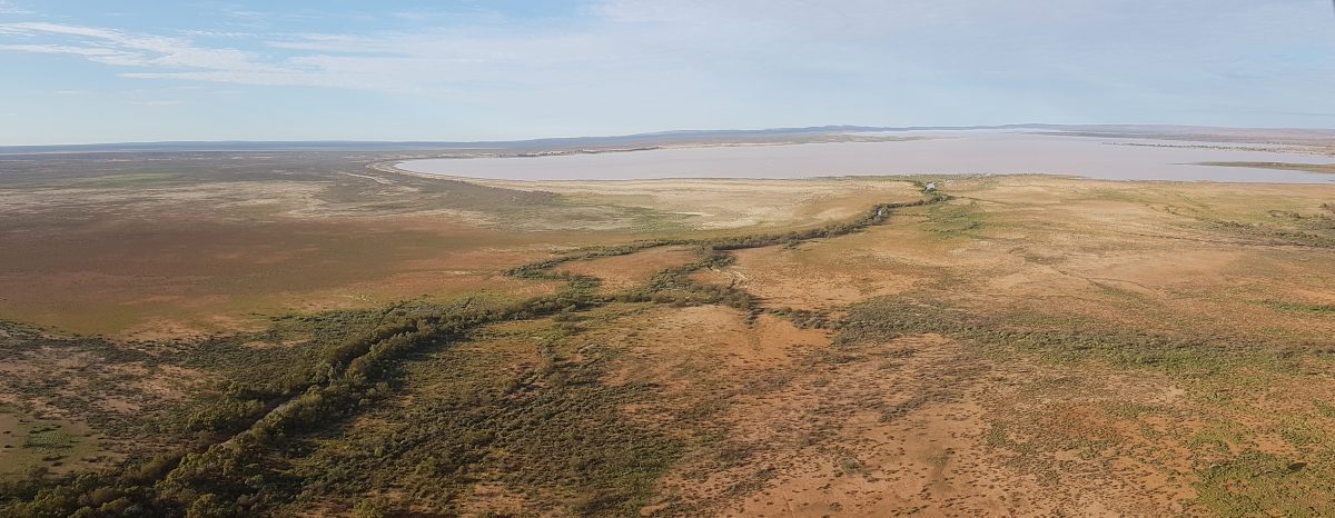 Aerial view of Peery Lake filled with water in Paroo-Darling National Park. Photo: Johlene Shalders