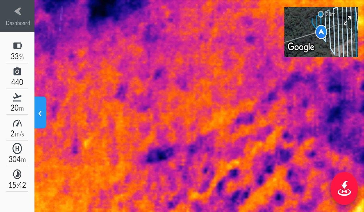 A thermal line scan screen shot of drone pilots screen Photo: Scott Colefax / DPIE