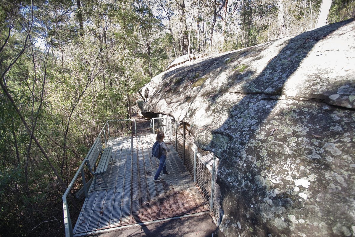 Red Hands Cave walking track, Blue Mountains National Park. Photo: