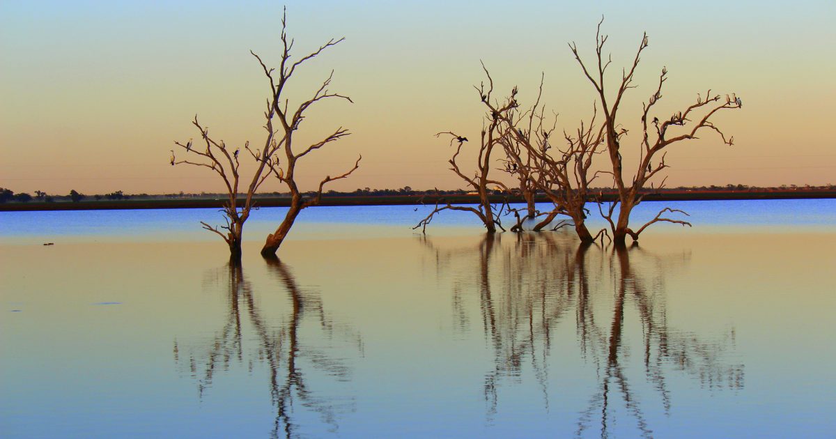 Beela Dam, Gwydir Wetlands, Northern NSW. Photo: Curtis Hayne / DPIE