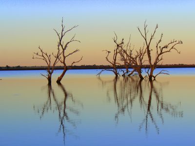 Beela Dam, Gwydir Wetlands, Northern NSW. Photo credit : Curtis Hayne / DPIE