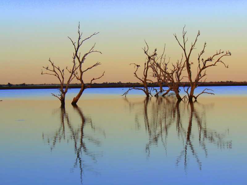 Beela Dam, Gwydir Wetlands, Northern NSW. Photo credit : Curtis Hayne / DPIE