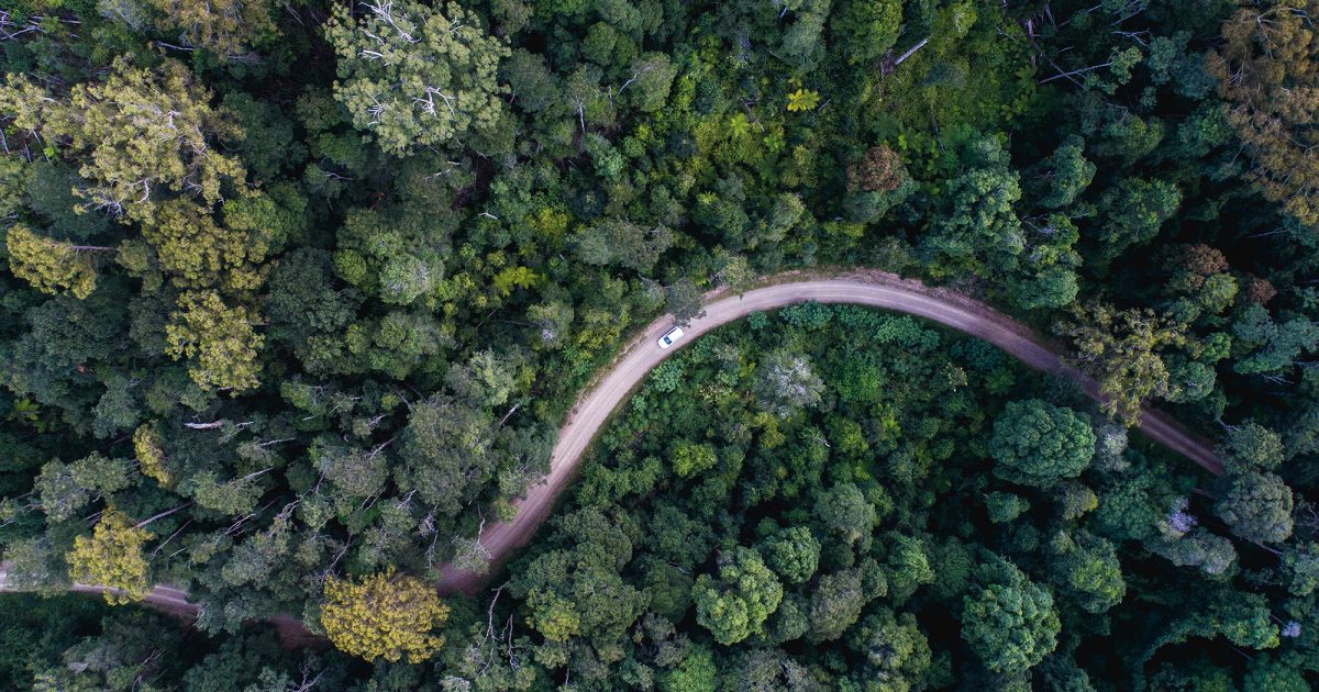 Aerial view of the road out of Werrimkimbe National Park. Photo: Rob Mulally / DPIE