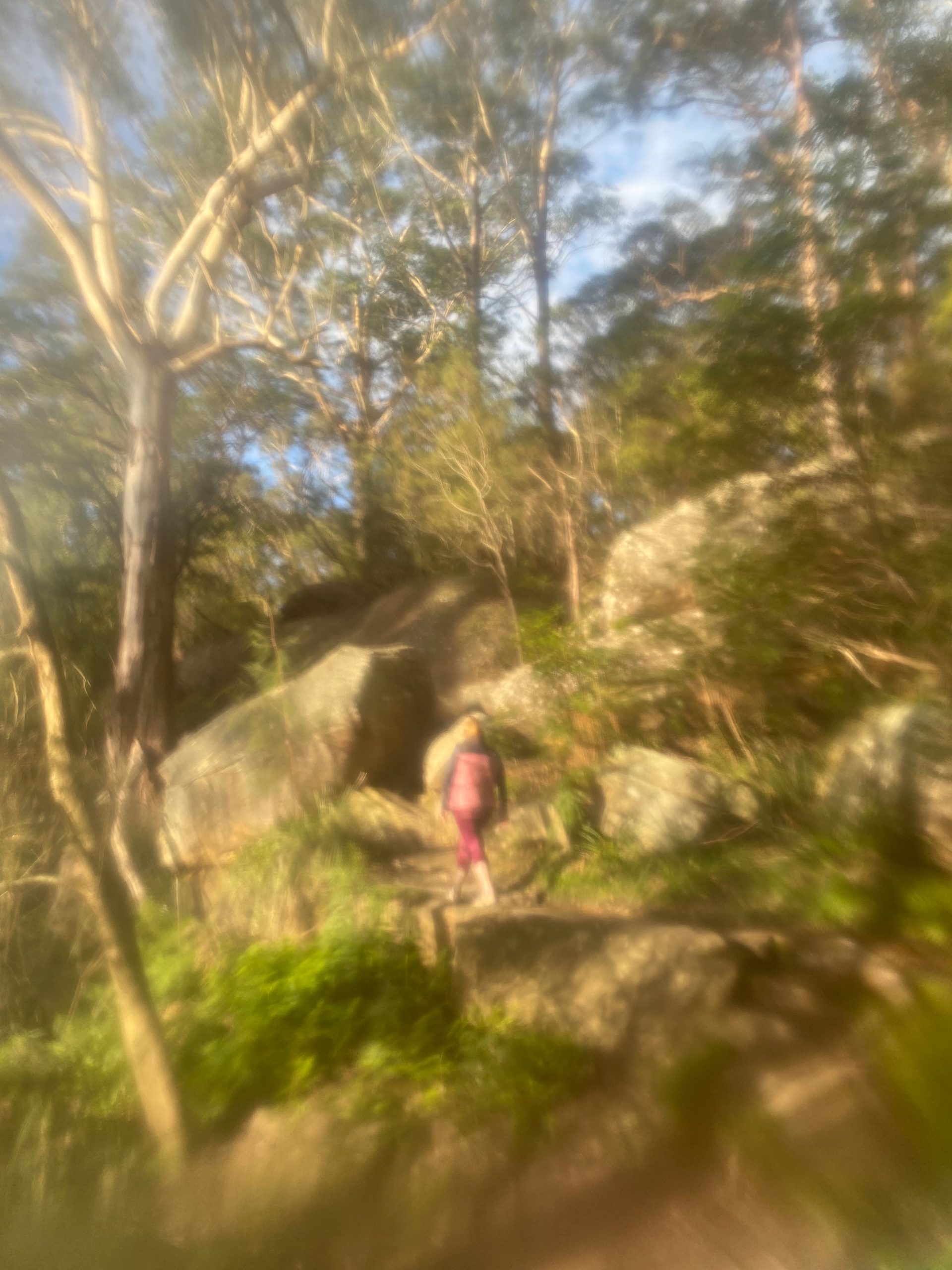 Using plastic as a real life filter - a person walking in a national park. Photo: Tim Ashelford