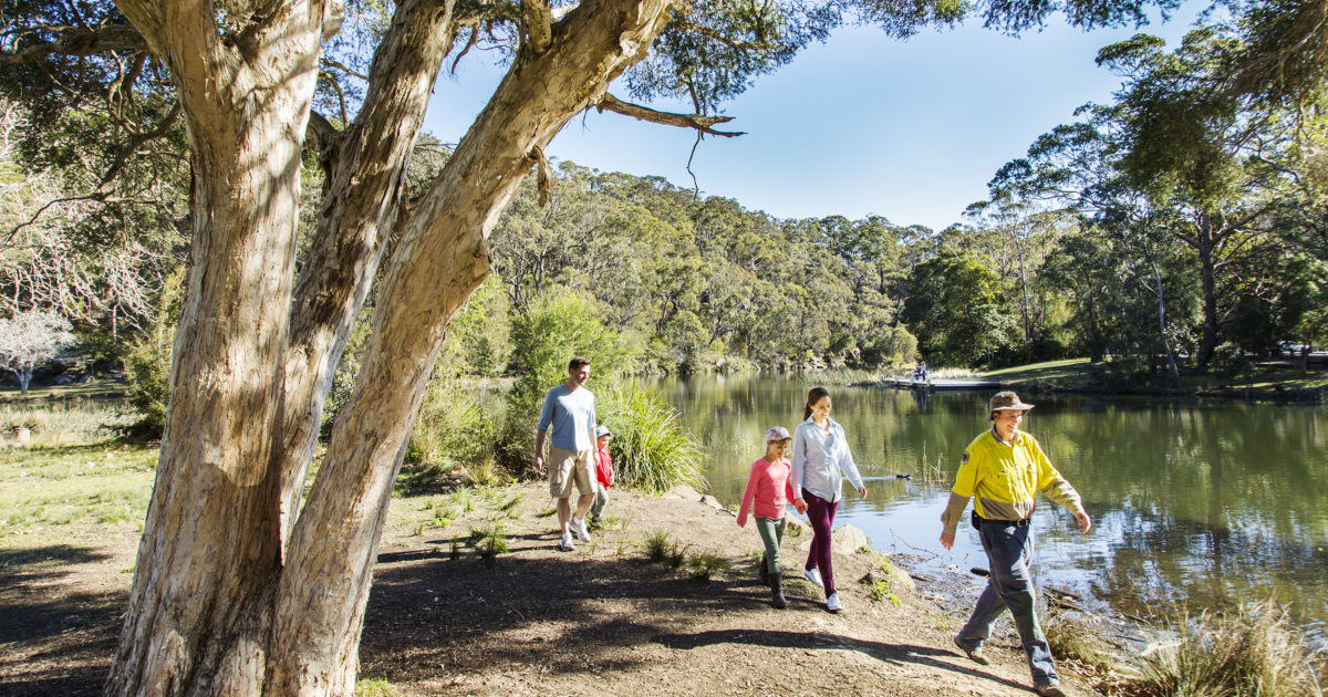 A family walking and following a ranger in Royal National Park. Photo: Simone Cottrell / DPE