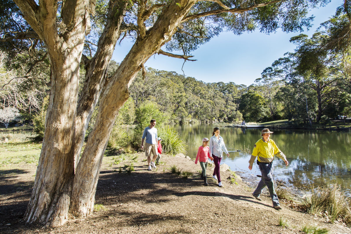 A family walking and following a ranger in Royal National Park. Photo: Simone Cottrell / DPE