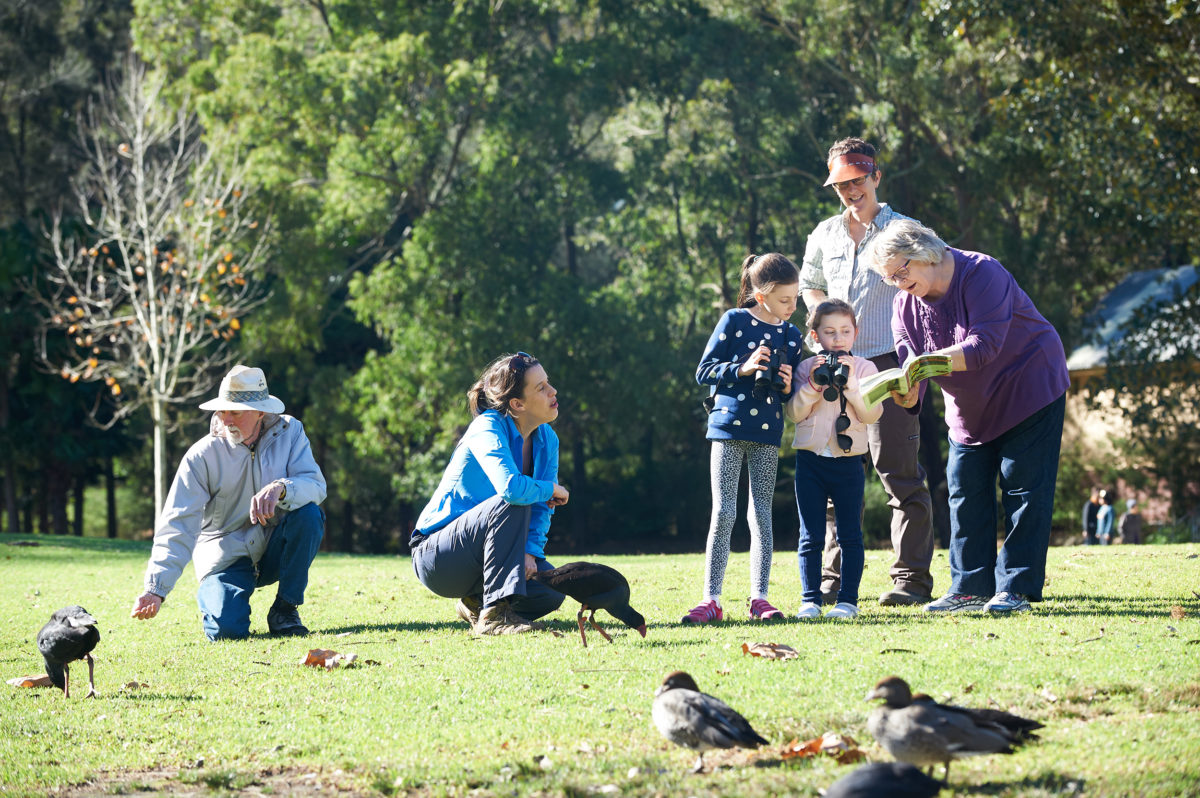 A family with kids taking part in citizen science activities. Photo: Peter Robey / DPE