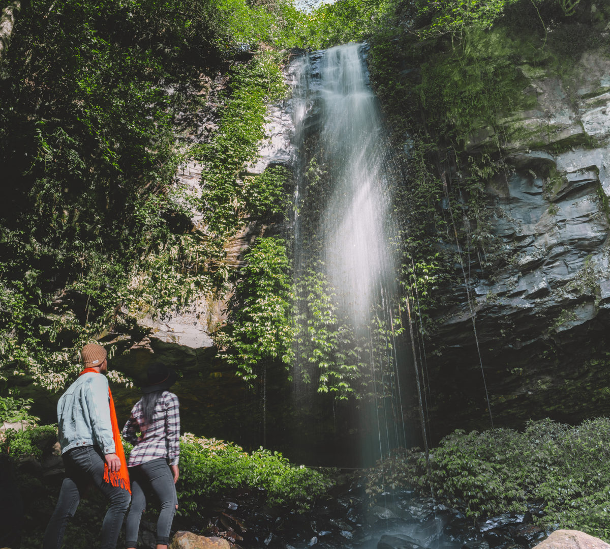 Two people looking up at a waterfall in Dorrigo National Park. Photo: Branden Bodman