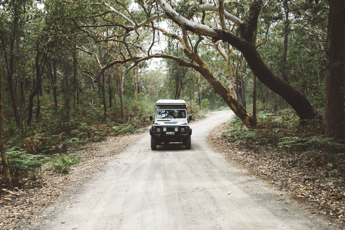 4WD on a road in a NSW National Park. Photo: Erin McGauley
