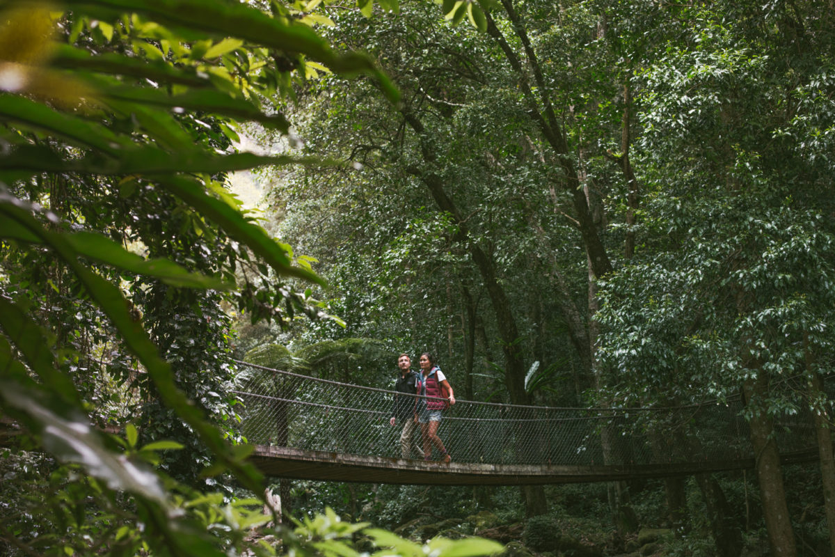 Two people walking over a bridge in Morton National Park. Photo: Tim Clark
