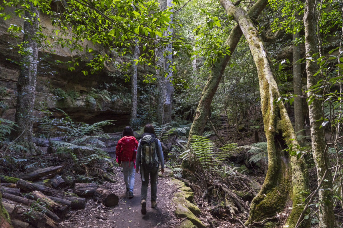 Two people walking Grand Canyon track, Blue Mountains National Park. Photo: Simone Cottrell © Simone Cottrell / DPE