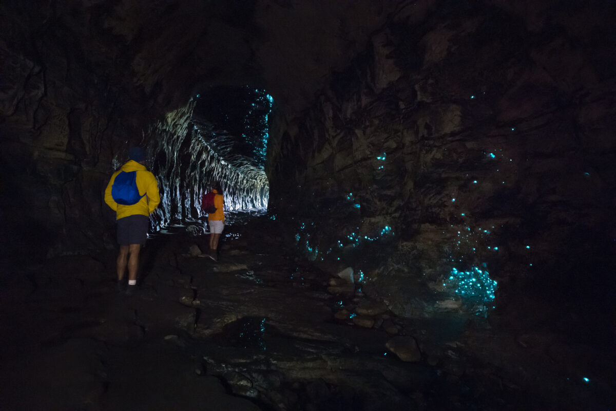 Two people exploring glow-worm cave. Photo: Daniel Tran © Daniel Tran / DPE