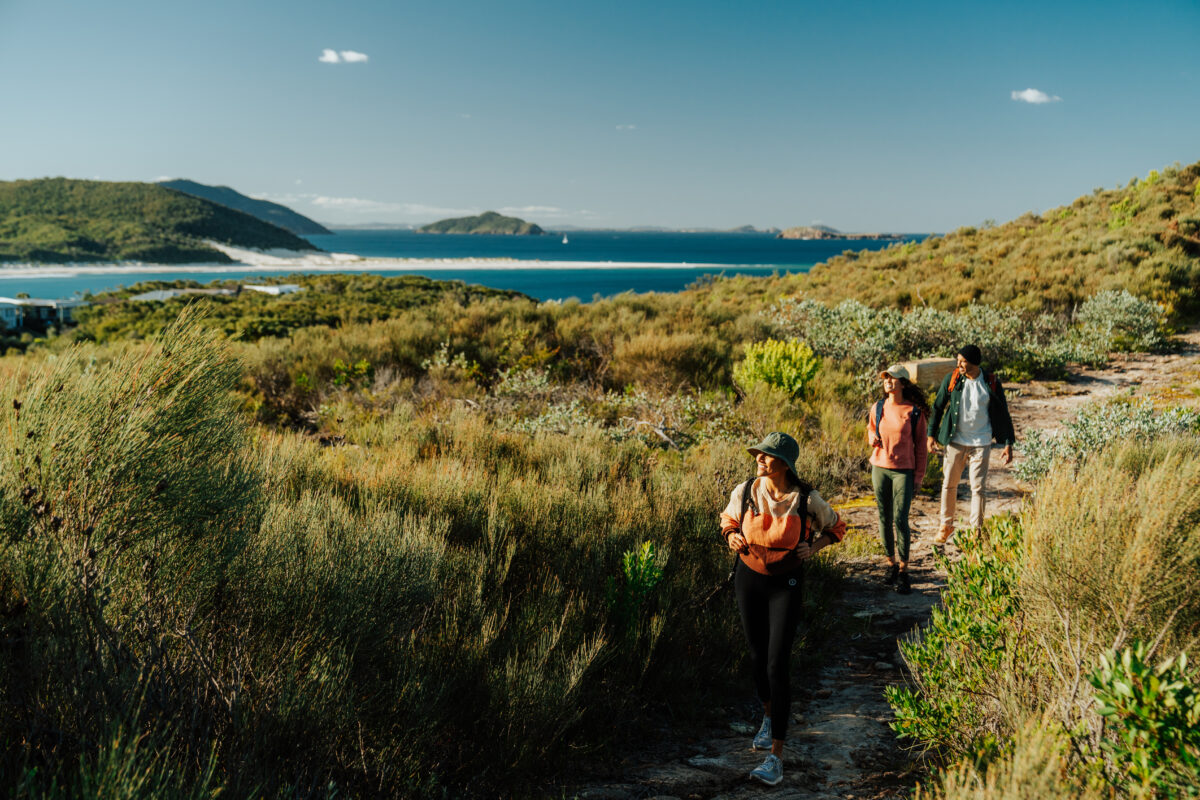 Three people walking Tomaree coastal walk. Tomaree National Park. Photo credit: Remy Brand / DPE