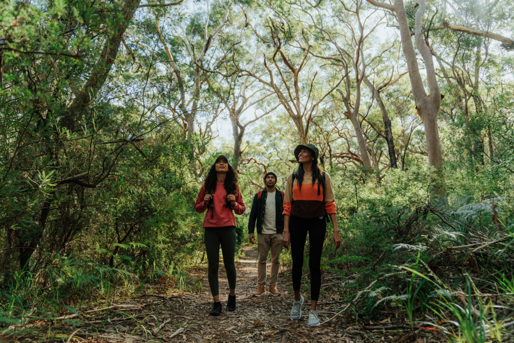 Hiking The Spectacular Tomaree Coastal Walk | Blog - NSW National Parks