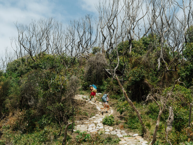 Two people walking the Murramarang South Coast Walk Photo credit: Remy Brand / DPE