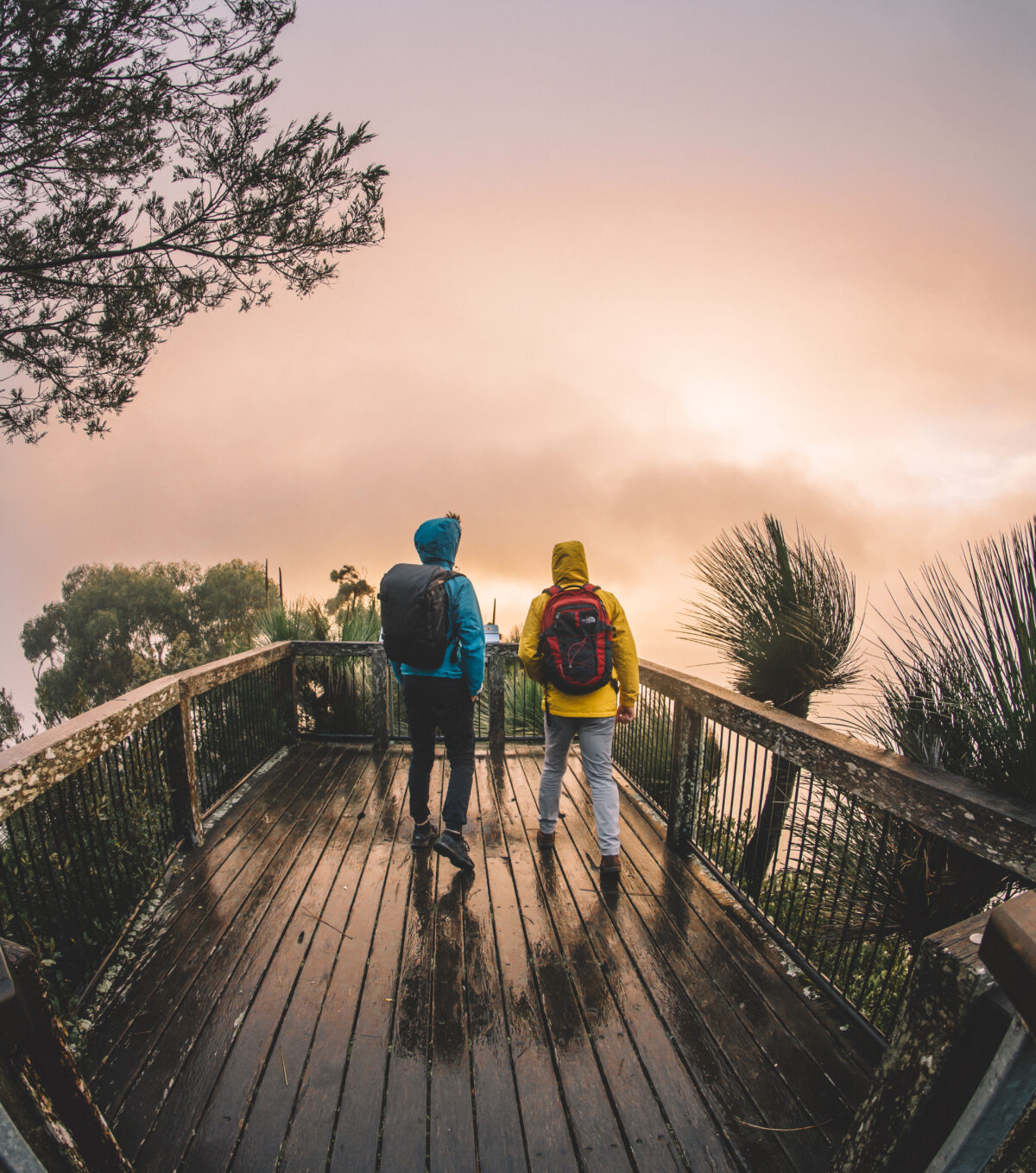 Two people at Pinnacle Lookout, Border Ranges National Park. Photo credit: Branden Bodman / DPE