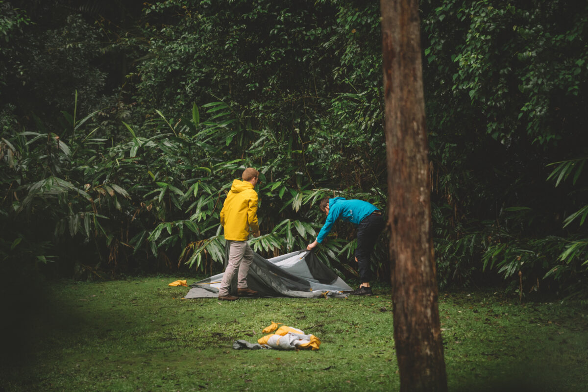Two people setting up a tent, Sheepstation Creek Campground, Border Ranges National Park. Photo credit: Branden Bodman / DPE