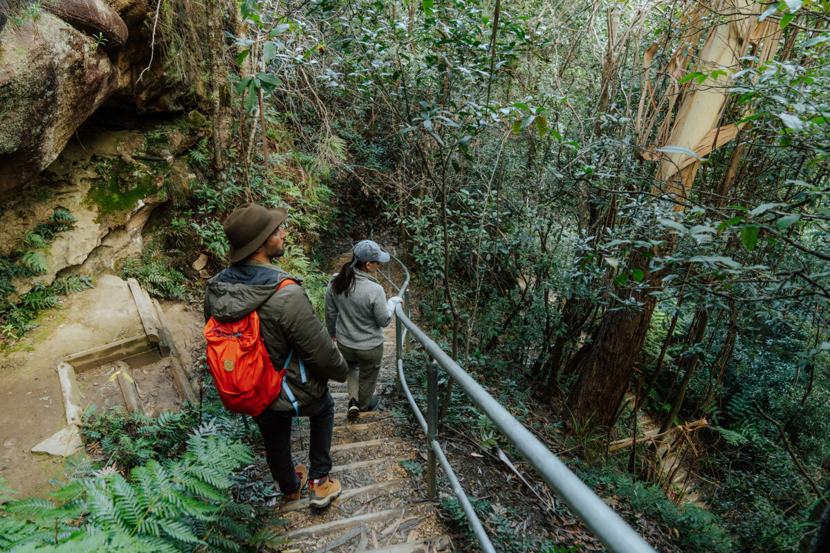 Two people walking down Fern Bower stairs. Blue Mountains National Park. Photo Credit: Remy Brand / DCCEEW