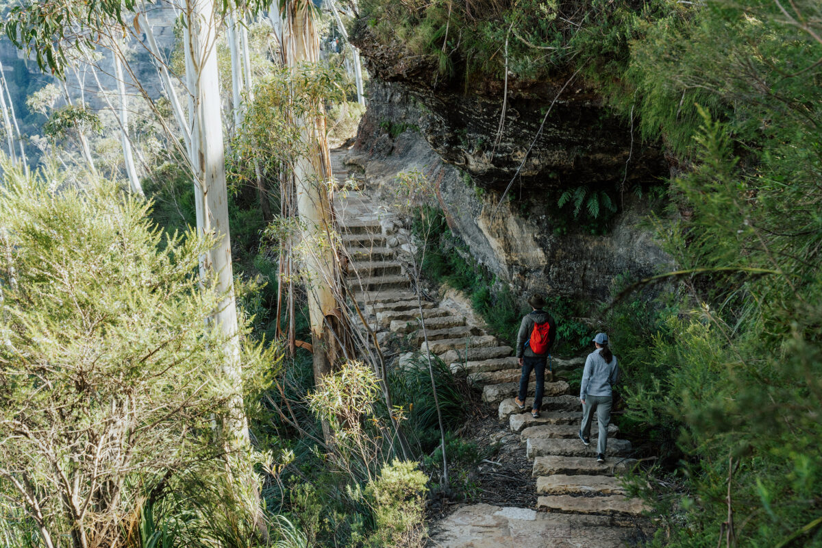 Two people walking along the Prince Henry Cliff Top Walk Blue Mountains National Park. Photo Credit: Remy Brand / DCCEEW