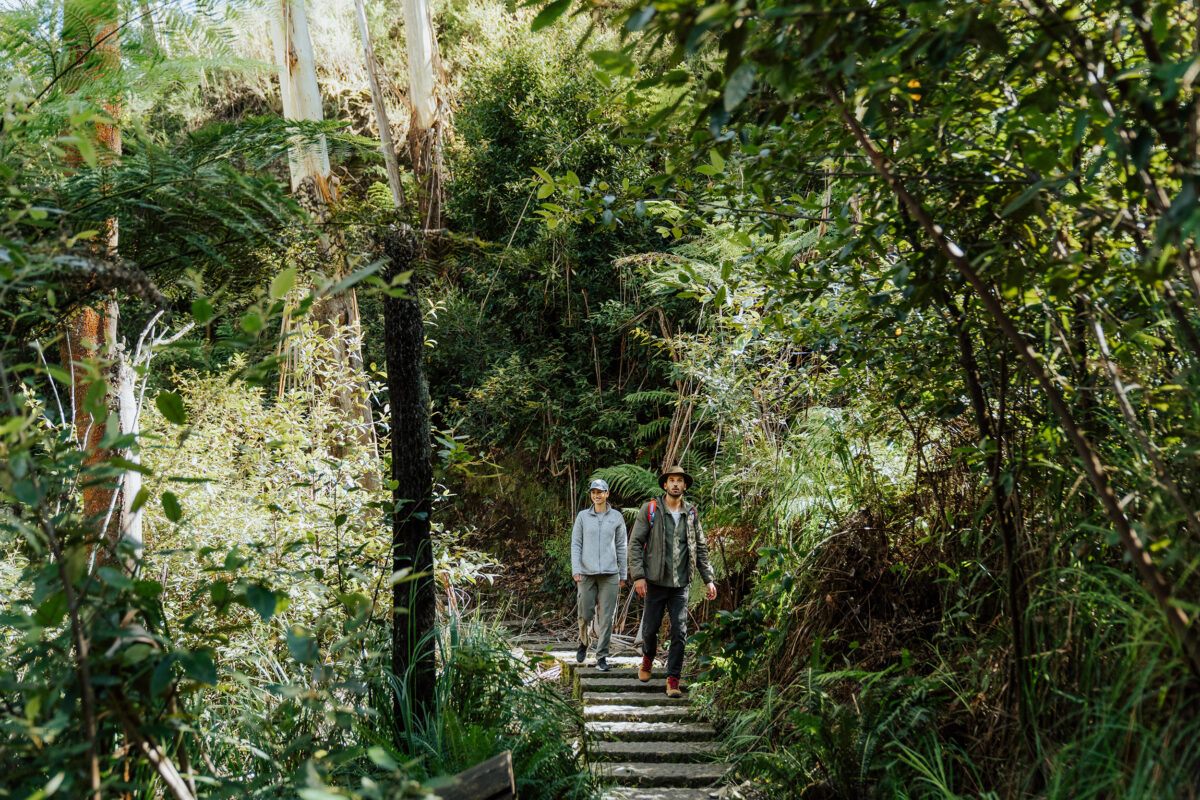 Two people walking along the Prince Henry Cliff Top Walk Blue Mountains National Park. Photo Credit: Remy Brand / DCCEEW