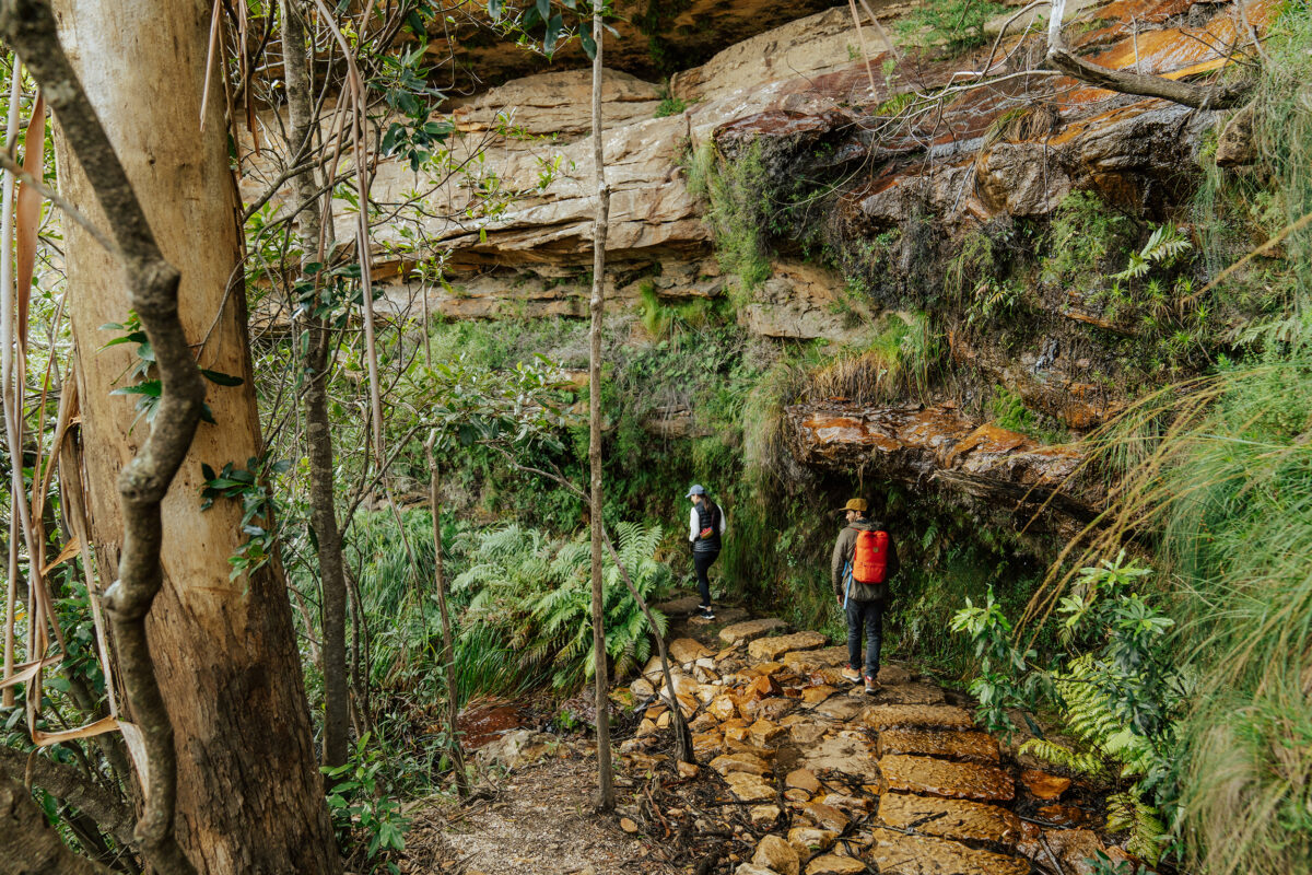 Two people walking on the Overcliff-Undercliff track, Grand Cliff Top Walk, Blue Mountains National Park. Photo: Remy Brand / DCCEEW