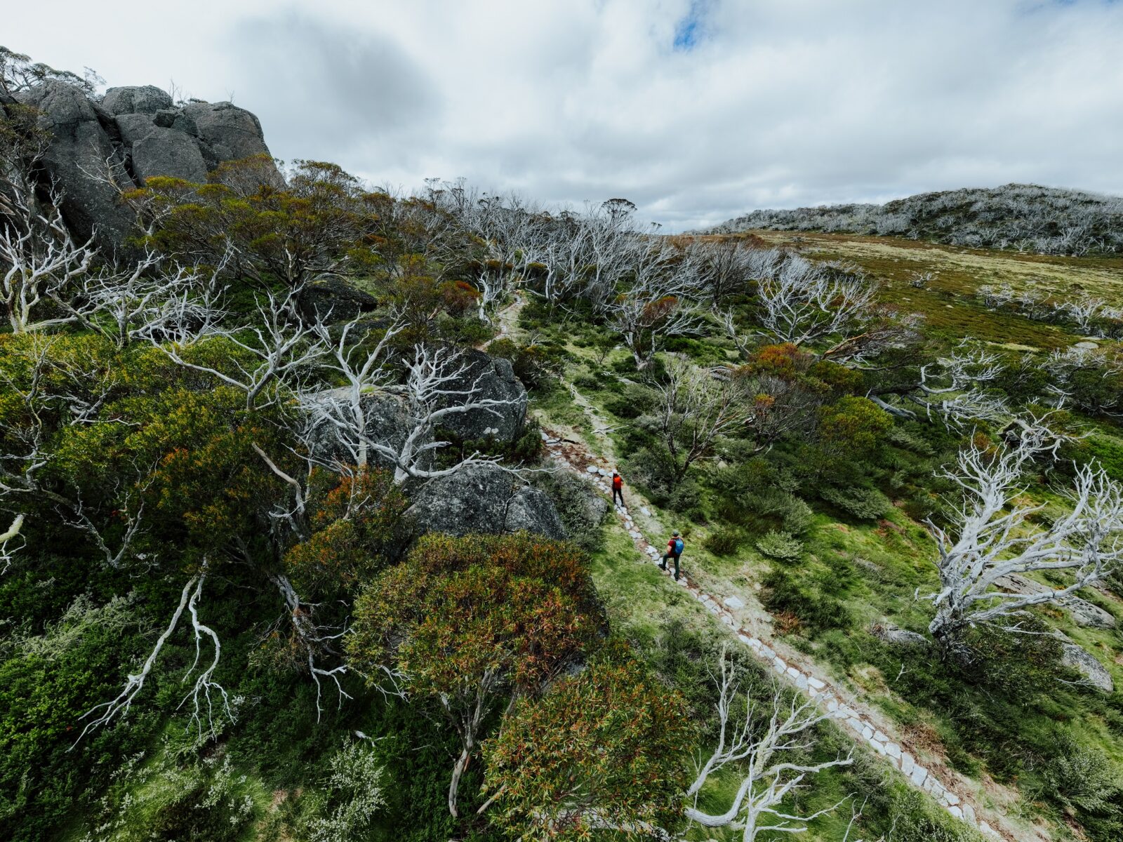 Two people walking on the Perisher Valley to Bullocks Flat track section of the Snowies Alpine Walk. Photo credit: Daniel Parsons/DCCEEW