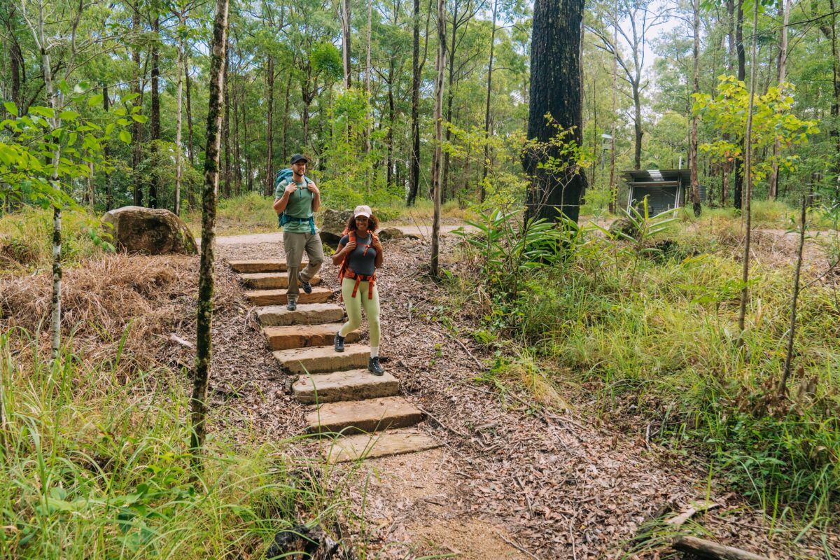 Two walkers descending stairs at Manns Road trackhead.