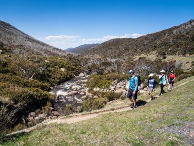 A group of people walking on the Thredbo Valley Track.