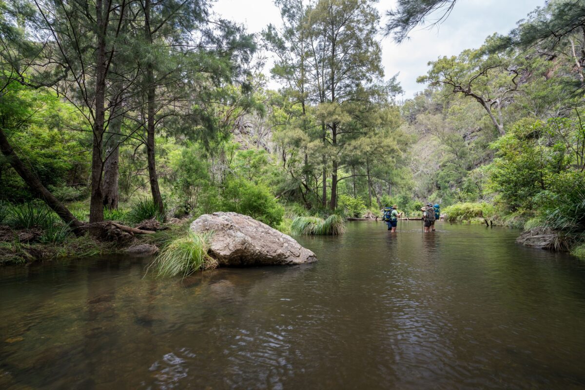 Hikers crossing a river on Green Gully Track.