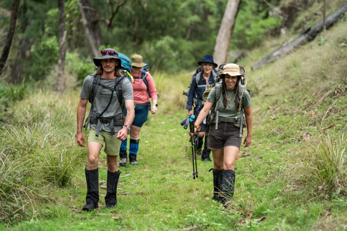 A group of hikers walking through bushland on Green Gully Track.