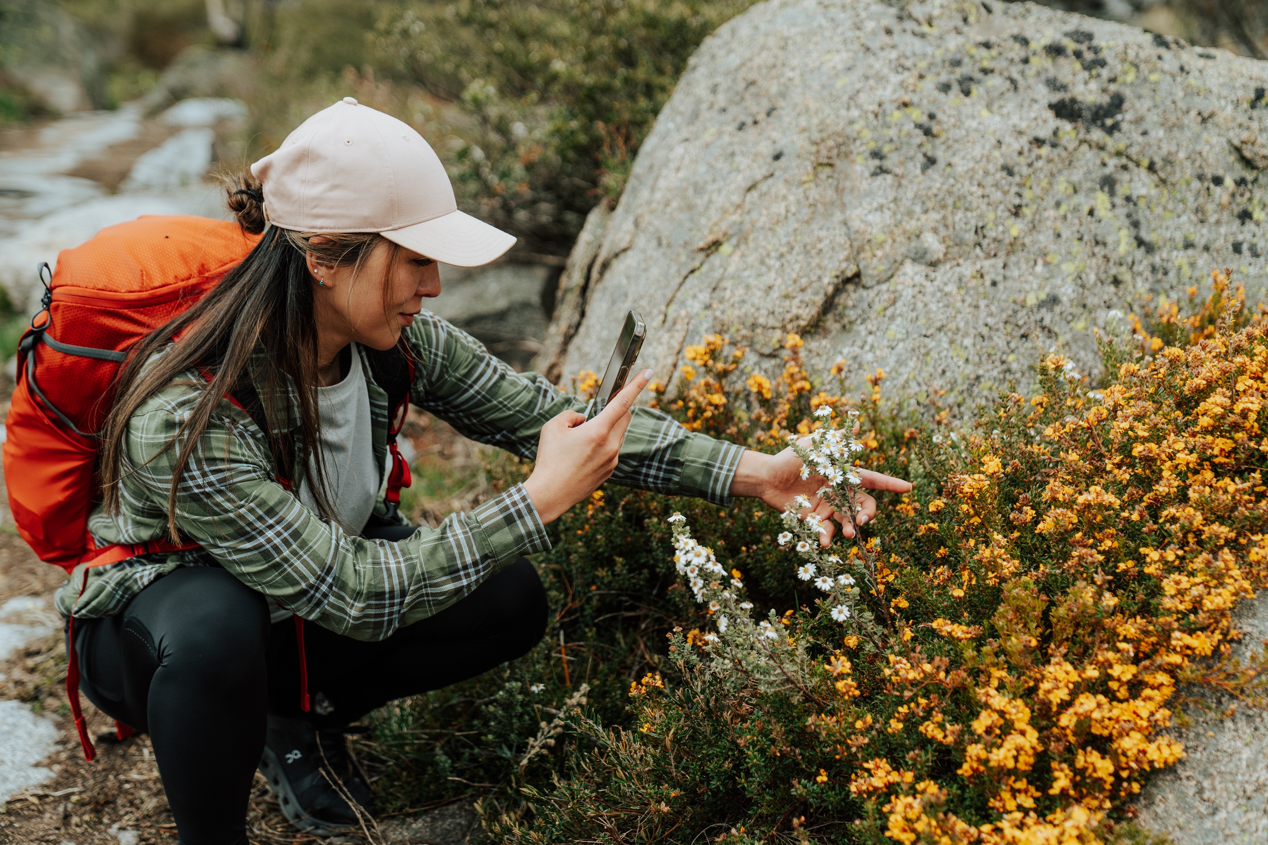 Ten native plants with names you won’t forget | Blog - NSW National Parks