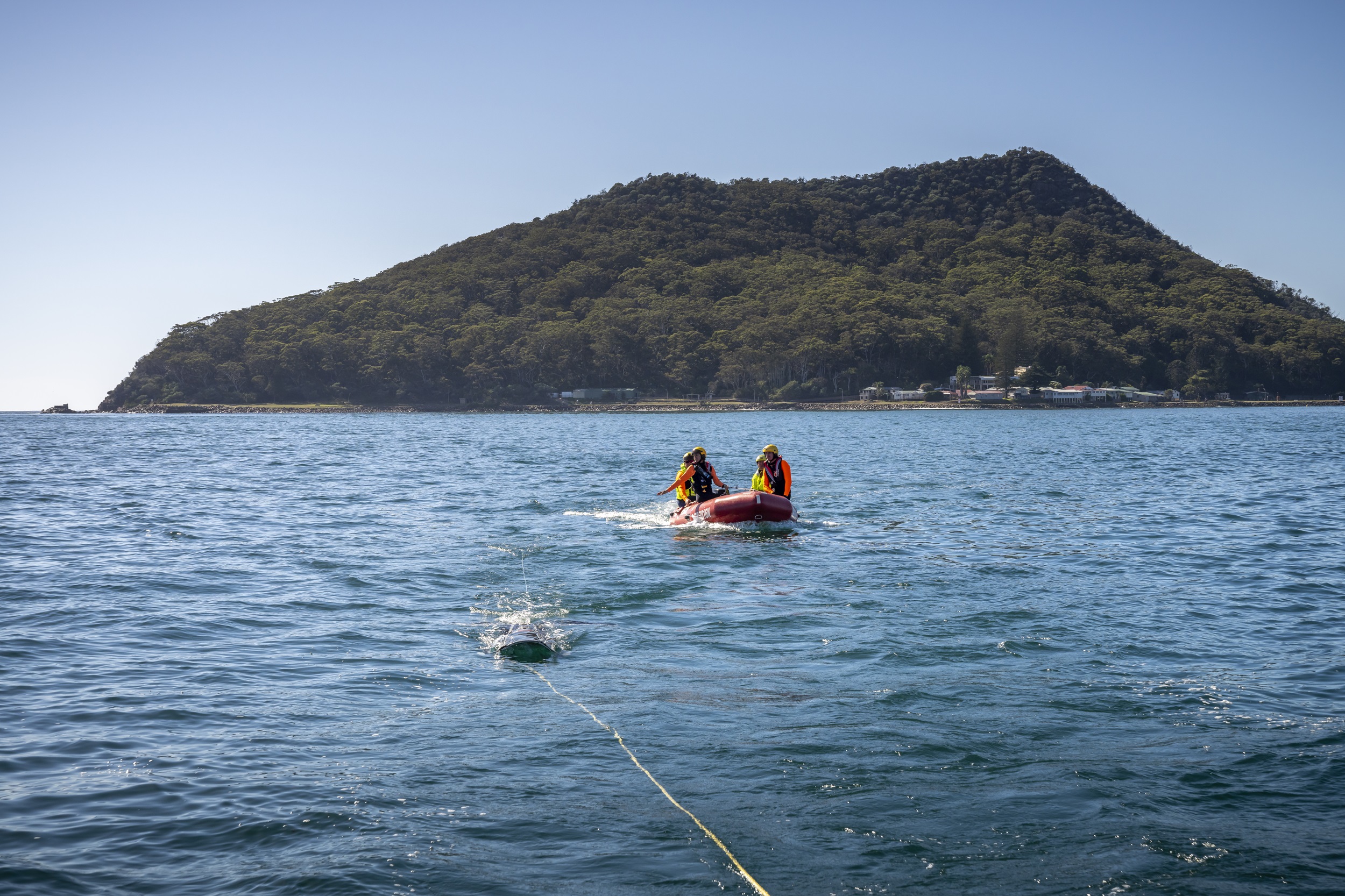 NSW National Parks staff participating in whale disentanglement training.