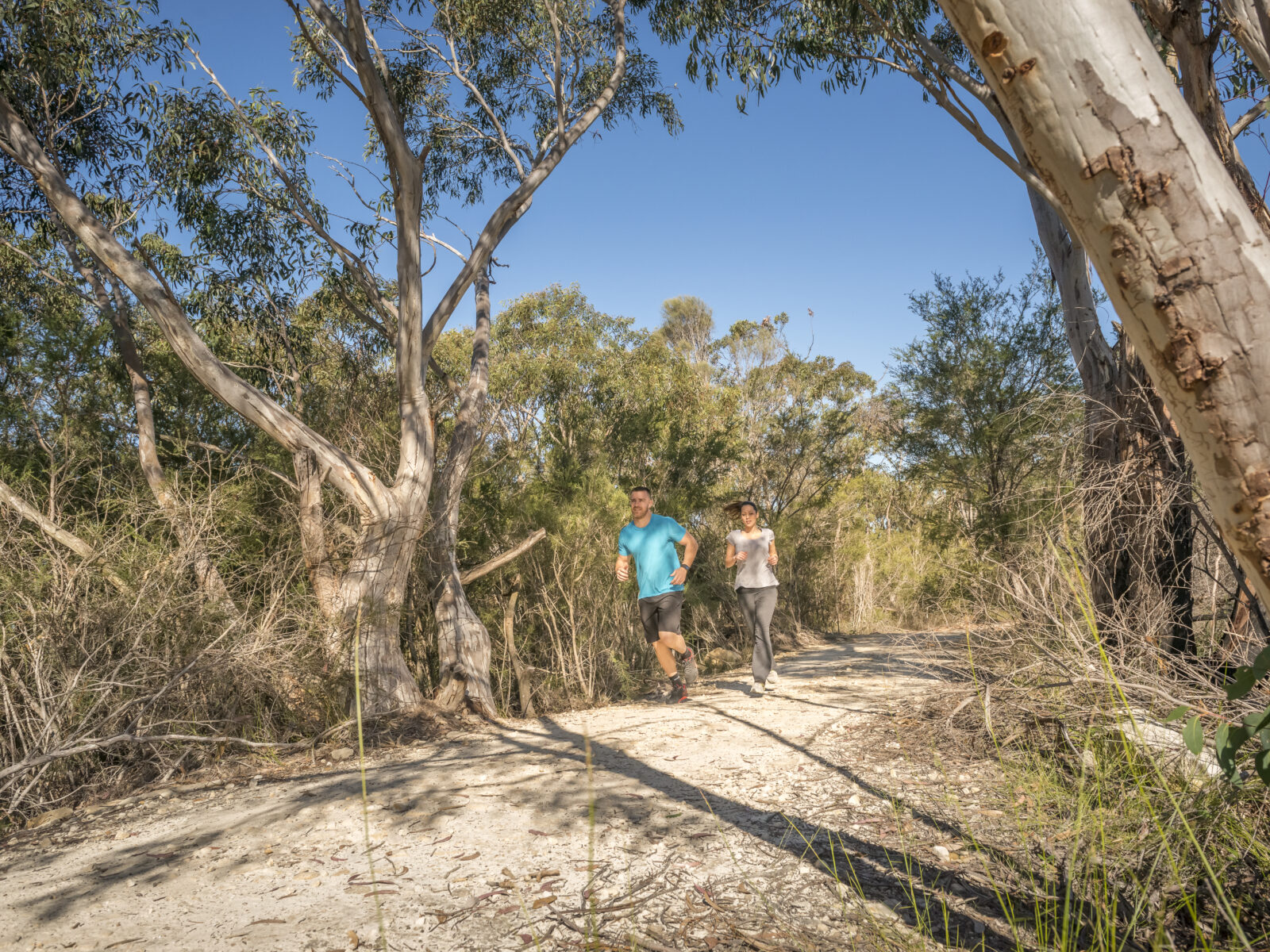 A group of people trail running in Garigal National Park.