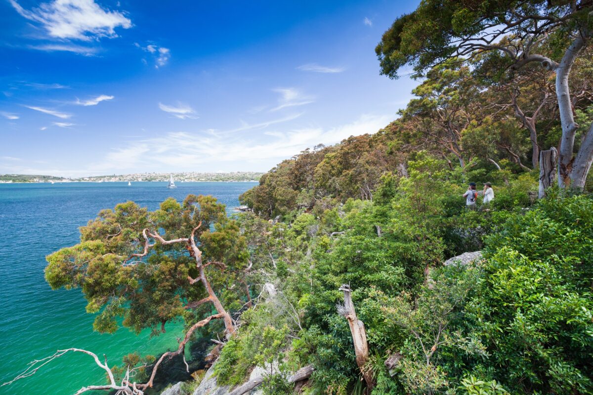 Walkers admire the view of Sydney Harbour from Manly scenic walkway.
